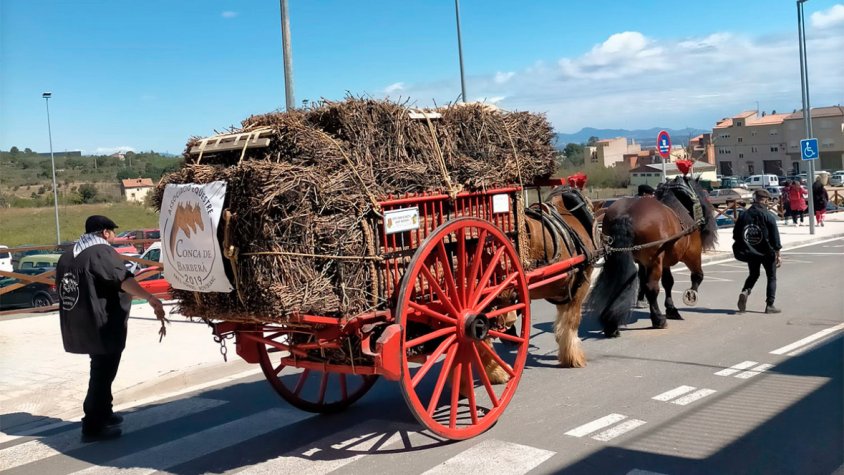 200 cavalleries i més de 60 carros a la XXVII Trobada Nacional dels Tres Tombs que se celebrarà a Montblanc