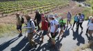  Una quarantena de persones recorren el curs del riu Gaià per defensar-ne el cabal ecològic i el patrimoni natural