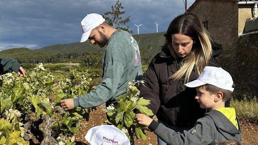 Rocafort de Queralt i Barberà es preparen per acollir una nova edició del Vinyafest en família