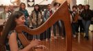 El Museu Terra prepara un seguit d'activitats pel dia Internacional dels Museus