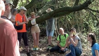 Activitat etnobotànica al jardí del Museu Terra de l'Espluga de Francolí