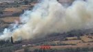 Evacuen un càmping a Montblanc per l'incendi d'un bus a l'N-240 que ha agafat massa forestal