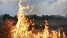 Activat el nivell 3 del Pla Alfa per perill molt alt d'incendi forestal a la Conca de Barberà i altres comarques