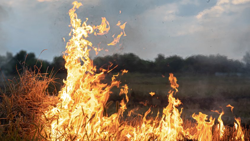 Imatge d'un incendi