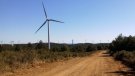 Un estudi adverteix que les limitacions materials fan inviable el ritme de creixement previst de les energies renovables