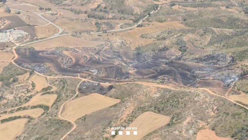 La Conca de Barberà, amb 11 municipis amb nivell màxim d'alerta per l'elevat perill d'incendi forestal