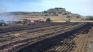Cremen 900 m2 en un incendi agrícola a Forès