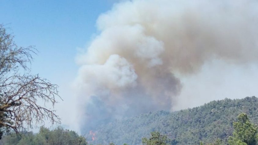 ÚLTIMA HORA: L'incendi de Ciutadilla, a l'Urgell, arriba a la Conca de Barberà