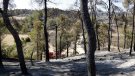 Revifa l'incendi de Ciutadilla que els Bombers van donar per extingit dijous