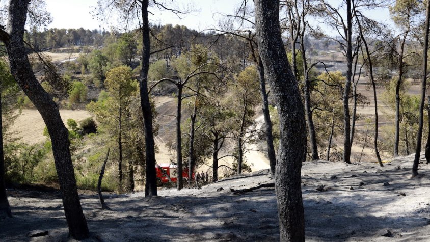 Revifa l'incendi de Ciutadilla que els Bombers van donar per extingit dijous