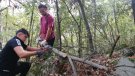 S'organitzen jornades de voluntariat forestal al paratge natural de Poblet