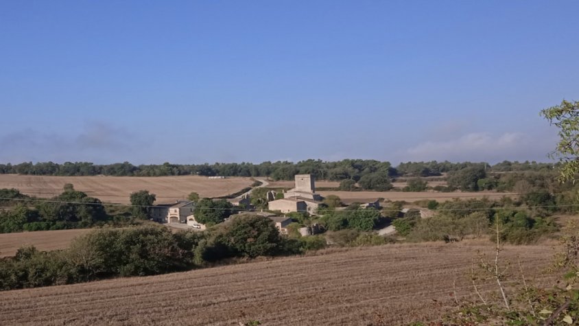 Un centenar de particulars i disset entitats presenten un recurs d'alçada contra un parc solar a Passanant i Belltall