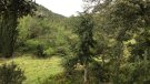 Presentació del llibre ‘Orquídies de les Muntanyes de Prades’ i del nou projecte de la Cooperativa Reboll ‘Mosaics de Biodiversitat