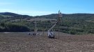 Endesa reforma una línia elèctrica per a millorar el servei a municipis de la Conca de Barberà i l'Alt Camp