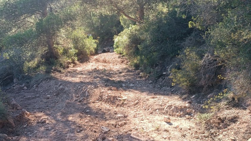 Comencen les obres per adaptar i restaurar camins rurals del GR175 de la Ruta del Cister