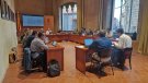 Es dona a conèixer les conclusions de la Diagnosi per a la redacció del Pla comarcal de Joventut de la Conca de Barberà