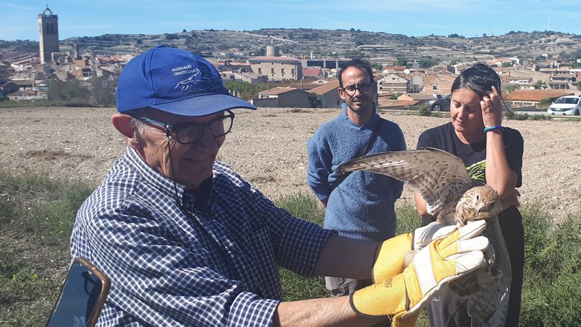 Alliberament d’un rapinyaire