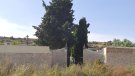 Sarral repetirà la ruta pels antics espais funeraris i visita guiada al cementiri