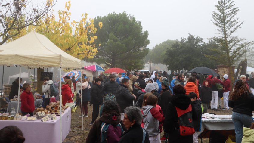 Centenars de persones gaudeixen de la 49a Fira i 38è Mercat de la Castanya de Vilanova de Prades