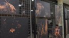 Josep M. Aran inaugura l'exposició 'El bosc de la imaginació'