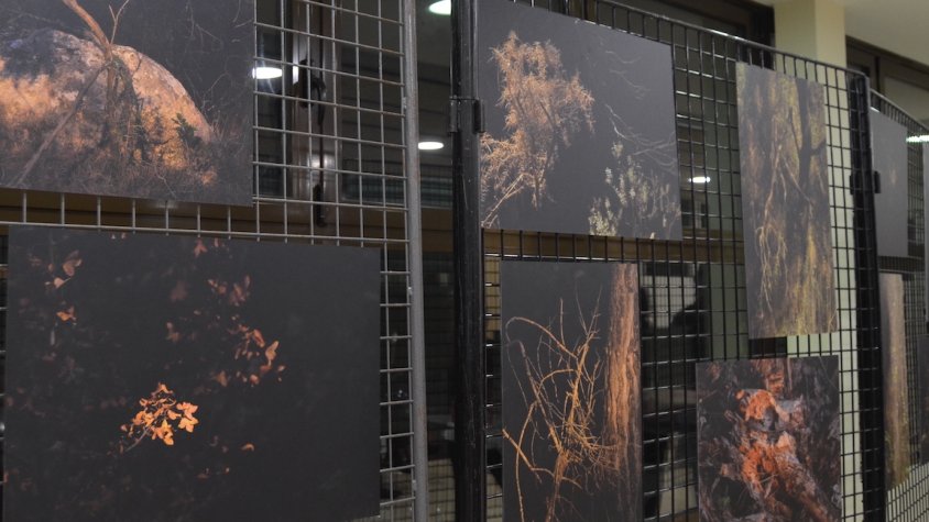 Josep M. Aran inaugura l'exposició 'El bosc de la imaginació'