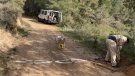 L’itinerari de La Ruta del Cister GR175 compta amb nous eco-comptadors digitals