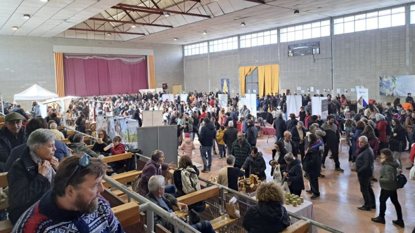 Vimbodí i Poblet es prepara per a una nova edició de la Tòfona Negra que amplia horaris