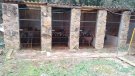 Localitzen a Vilaverd un centenar de cabres robades a Alpicat