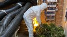 Endesa tanca el 2024 amb una trentena d'expedients per frau elèctric a la Conca de Barberà