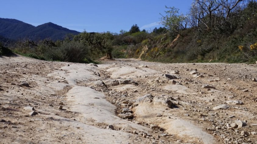 S'aprova adequar més d'11,5 quilòmetres de camins de l’Espluga de Francolí