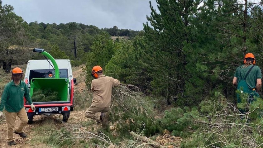 La Cooperativa Reboll inicia els treballs del nou projecte ‘Mosaics de Biodiversitat’ als Plans de Rojals