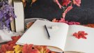 S'organitza el 1r Concurs de Poesia Infantil a Sarral coincidint amb el Dia Mundial de la Poesia