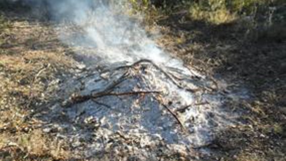 Aquest dissabte comença la prohibició de fer foc al bosc, que s'allargarà fins a l'octubre
