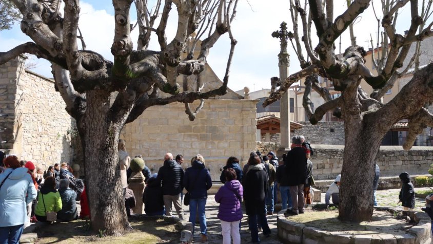 Descobrir el missatge que amaga la font de les Canelles de Santa Coloma de Queralt