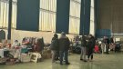 Una vintena de parades en la tercera edició del Mercat del Trasto de Vilaverd