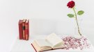 Mercat de llibres i roses i espectacle de màgia per celebrar Sant Jordi a Santa Coloma 