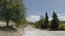 Tall total a la carretera TV-2012, ramal d’accés a Sant Magí de la Brufaganya