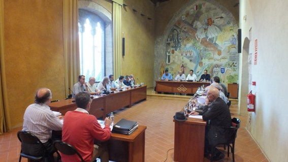 Un plenari del consell comarcal