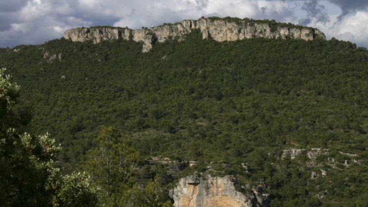País Rural denuncia que el model proposat per la Generalitat sobre el futur Parc Natural de les Muntanyes de Prades "no té en compte la realitat del territori"