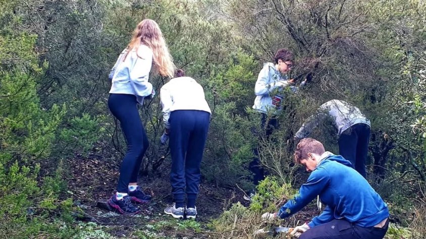 Voluntariat forestal a Rojals per cuidar el bosc i prevenir incendis