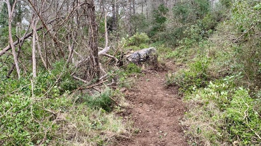 El Club BTT Montblanc impulsa la conservació dels senders del municipi amb  voluntariat