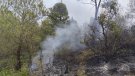 Controlat un incendi forestal a les Piles que ha cremat mitja hectàrea de bosc