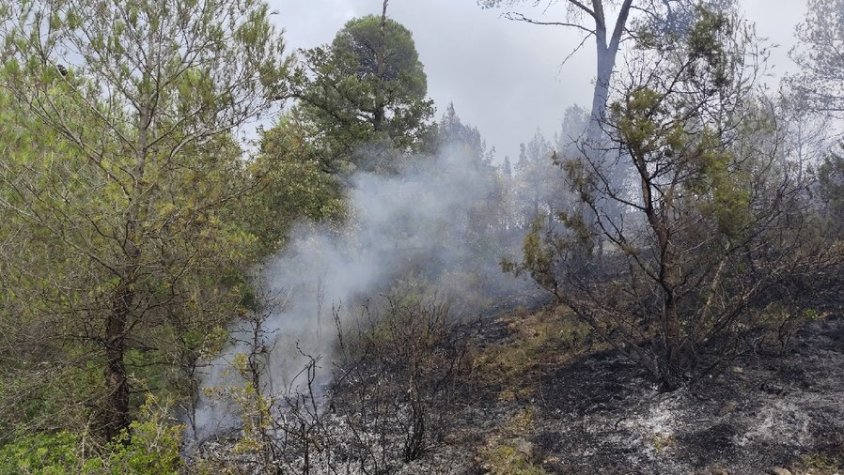Controlat un incendi forestal a les Piles que ha cremat mitja hectàrea de bosc
