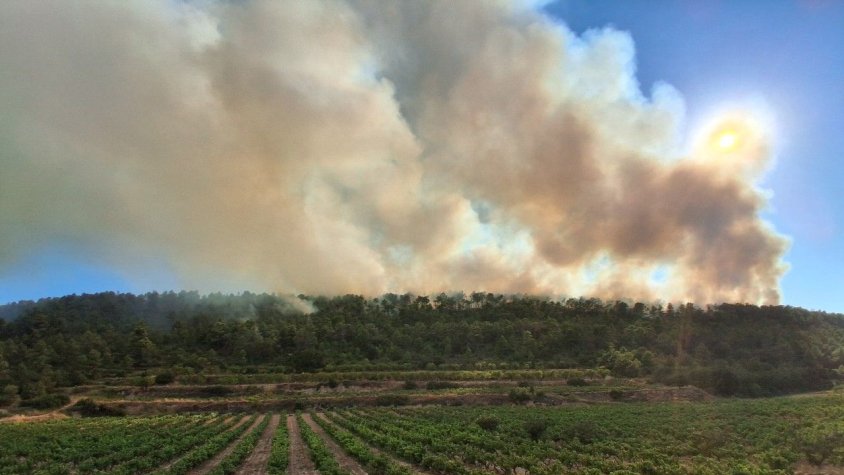 Més de 180 efectius treballant en l'extinció de l'incendi a Fulleda, a prop de la Conca de Barberà