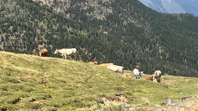 Abans de vacances