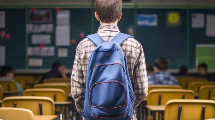 Gairebé 1 de cada 3 comarcans majors de 15 anys té estudis superiors