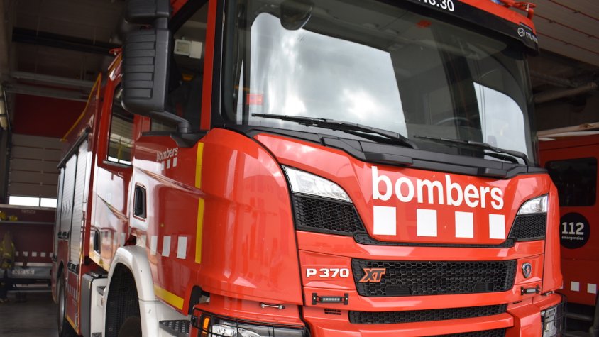 Accident a la C-241d a Sarral: Xoc entre un vehicle i cinc porcs senglars