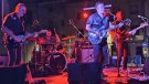 Diferents estils musicals en una nova jornada del Musicall