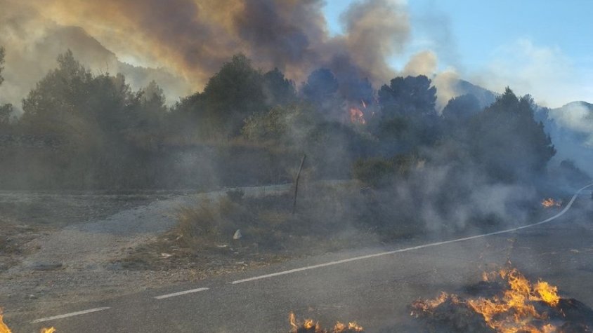 Un incendi en un camió carregat de palla mobilitza més de 20 unitats de bombers a Vilaverd