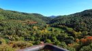 El 53,4% del territori de la comarca és forestal i només un 16% es gestiona de manera planificada